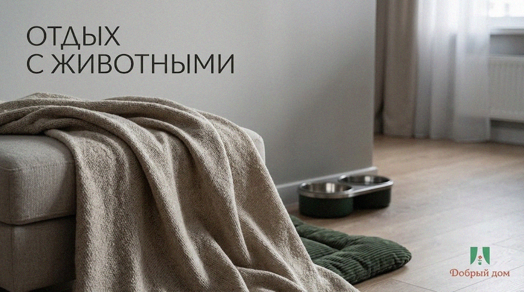 Снять квартиру посуточно в Тюмени: можно ли с животными