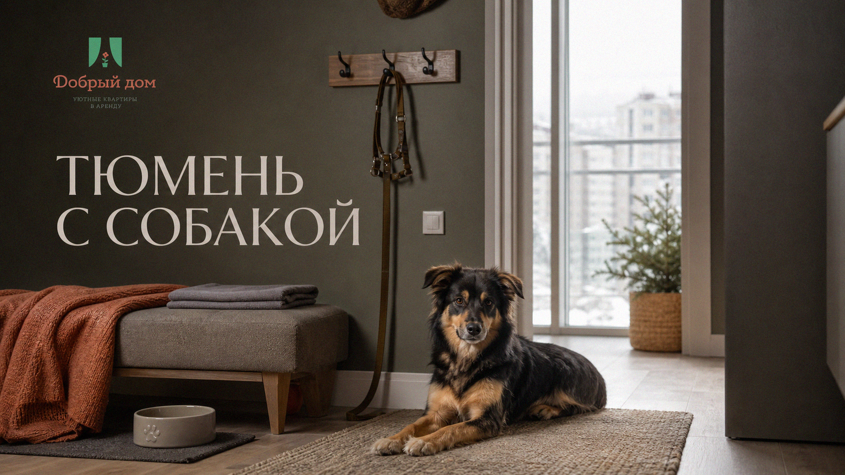 Тюмень для жизни с собакой: районы, парки и маршруты для прогулок