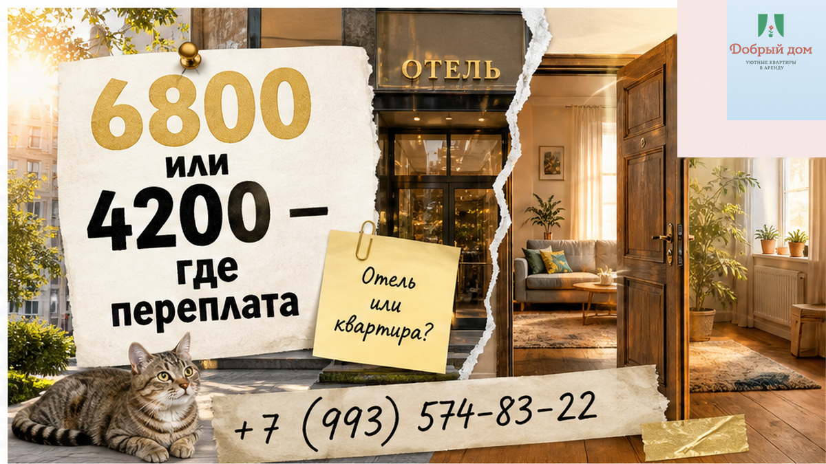 2 ночи в командировке: отель 6 800 ₽ или квартира 4 200 ₽ — переплата