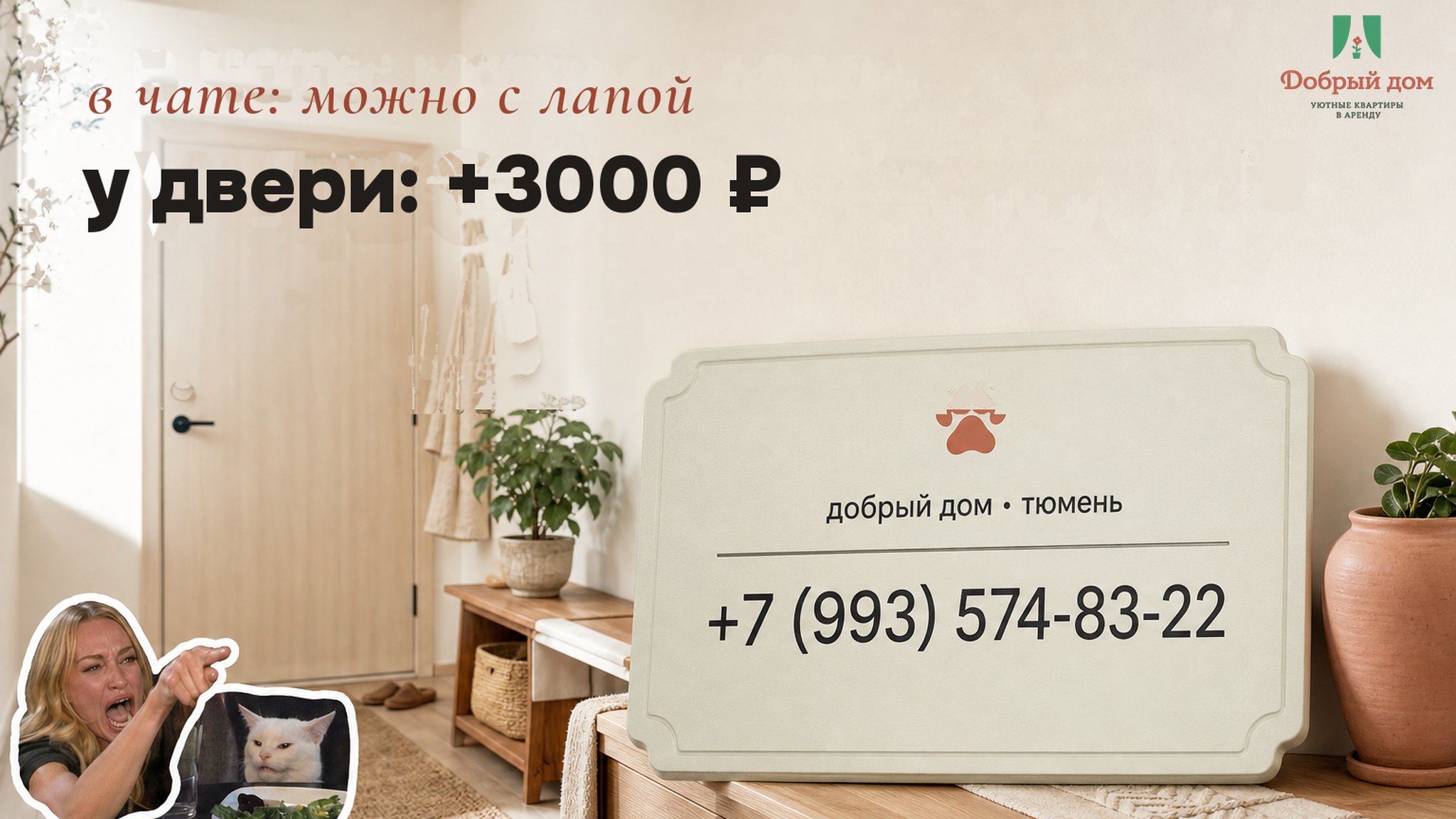 «Можно с лапой» — после заселения назвали доплату 3 000 ₽