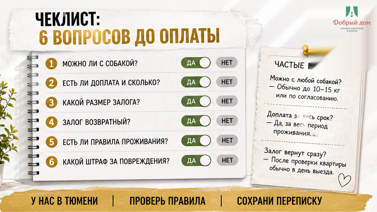 Чеклист из шести вопросов хозяину перед бронированием с питомцем