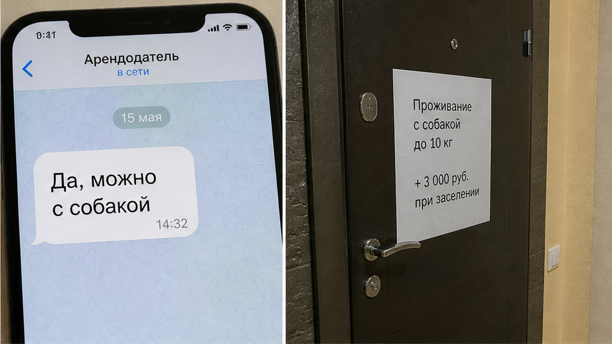 Сравнение: в чате «да, можно» и у двери доплата за собаку